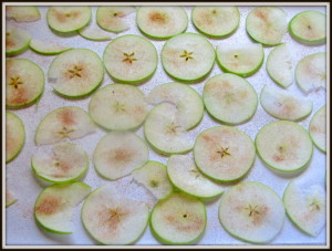 baking sheet slices